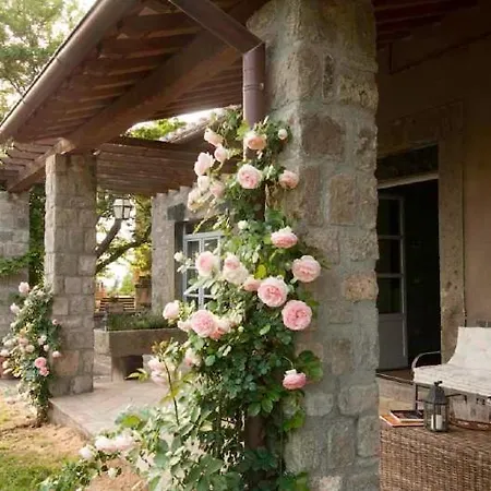 Sleeps 19 Viterbo